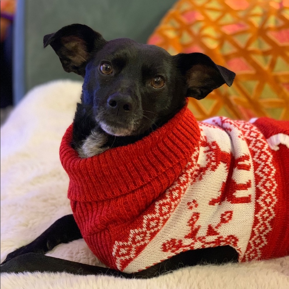 Meet your Posher, Faryl